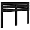 Black_oak
