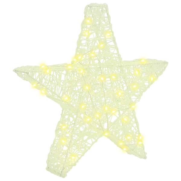 vidaXL 3D t&auml;ht 50 LED-i Soe valge 55 x 53.5 x 10 cm Akr&uuml;&uuml;l