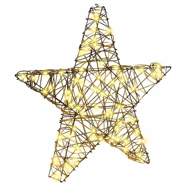 vidaXL 3D t&auml;ht 50 LED-i Soe valge 55 x 52.5 x 9 cm Rotang