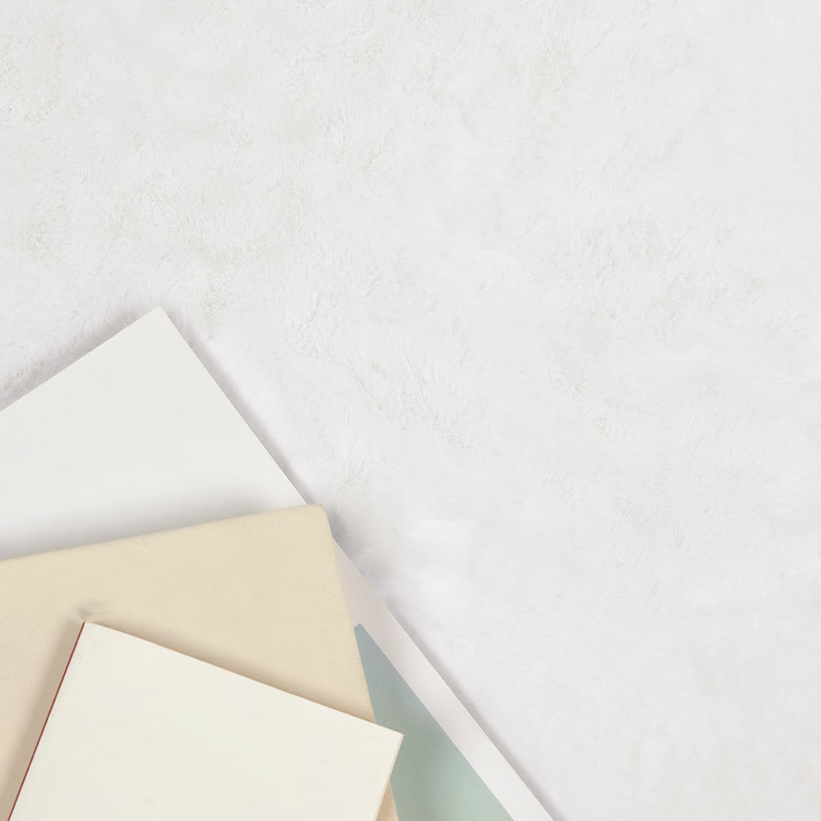 vidaXL Nep Konijnenbont Tapijt Olite Wit 60 x 90 cm Polyester