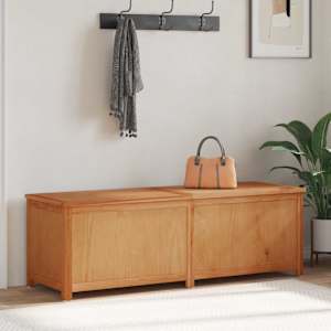 Shranjevalna škatla Naravna Konstruirano leseno