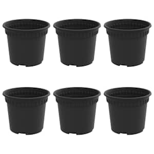 vidaXL &Uuml;mmargune lillepott 6 tk Must &Oslash; 12,5 x 10 cm Plastmass