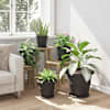 Toote pisipilt  4 / 9