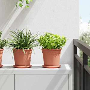 Kruhový květinový tácek 6 pcs Cihlově červená Ø 14 x 2 cm Plast - obrázek 1