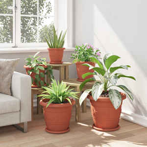 Kruhový květinový tácek 6 pcs Cihlově červená Ø 23,5 x 2,5 cm - obrázek 4