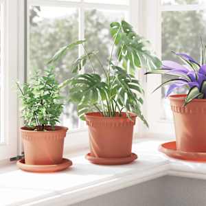 Kruhový květinový tácek 24 pcs Cihlově červená Ø 14 x 2 cm - obrázek 4