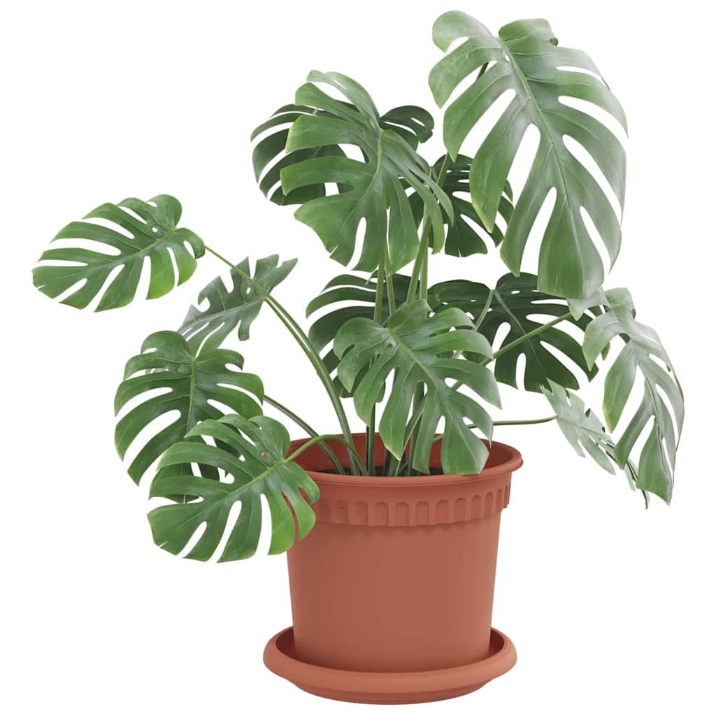 Tavă rotundă pentru flori 24 pcs Roșu cărămidă Ø 14 x 2 cm [2]