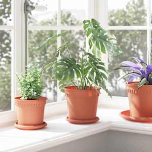 Kruhový květinový tácek 24 pcs Cihlově červená Ø 14 x 2 cm - obrázek 4