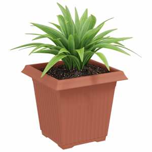 Čtvercový květináč 6 pcs Cihlově červená 16 x 16 x 14 cm Plast - obrázek 3