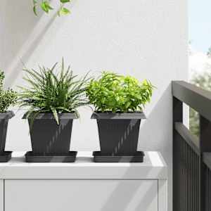 Čtvercový květináč 6 pcs Černá 16 x 16 x 14 cm Plast - obrázek 1