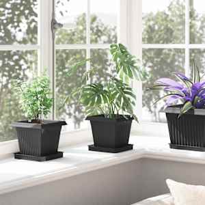 Čtvercový květináč 6 pcs Černá 16 x 16 x 14 cm Plast - obrázek 4