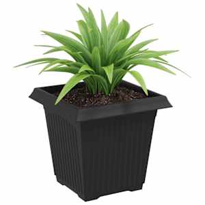 Čtvercový květináč 6 pcs Černá 16 x 16 x 14 cm Plast - obrázek 3