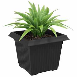 Čtvercový květináč 6 pcs Černá 23 x 23 x 17,5 cm Plast - obrázek 3