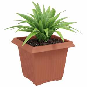 Čtvercový květináč 24 pcs Cihlově červená 20 x 20 x 16 cm Plast - obrázek 3