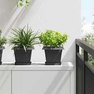 Kvadratna cvetlična posoda 24 pcs Črna 20 x 20 x 16 cm Plastika