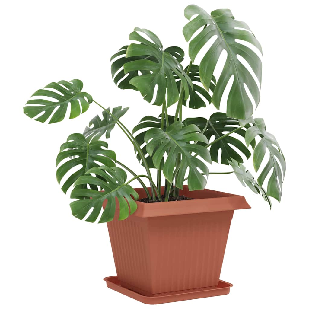 Vierkante Bloemenschotel 6 pcs Baksteenrood 32 x 32 x 2,5 cm image 3