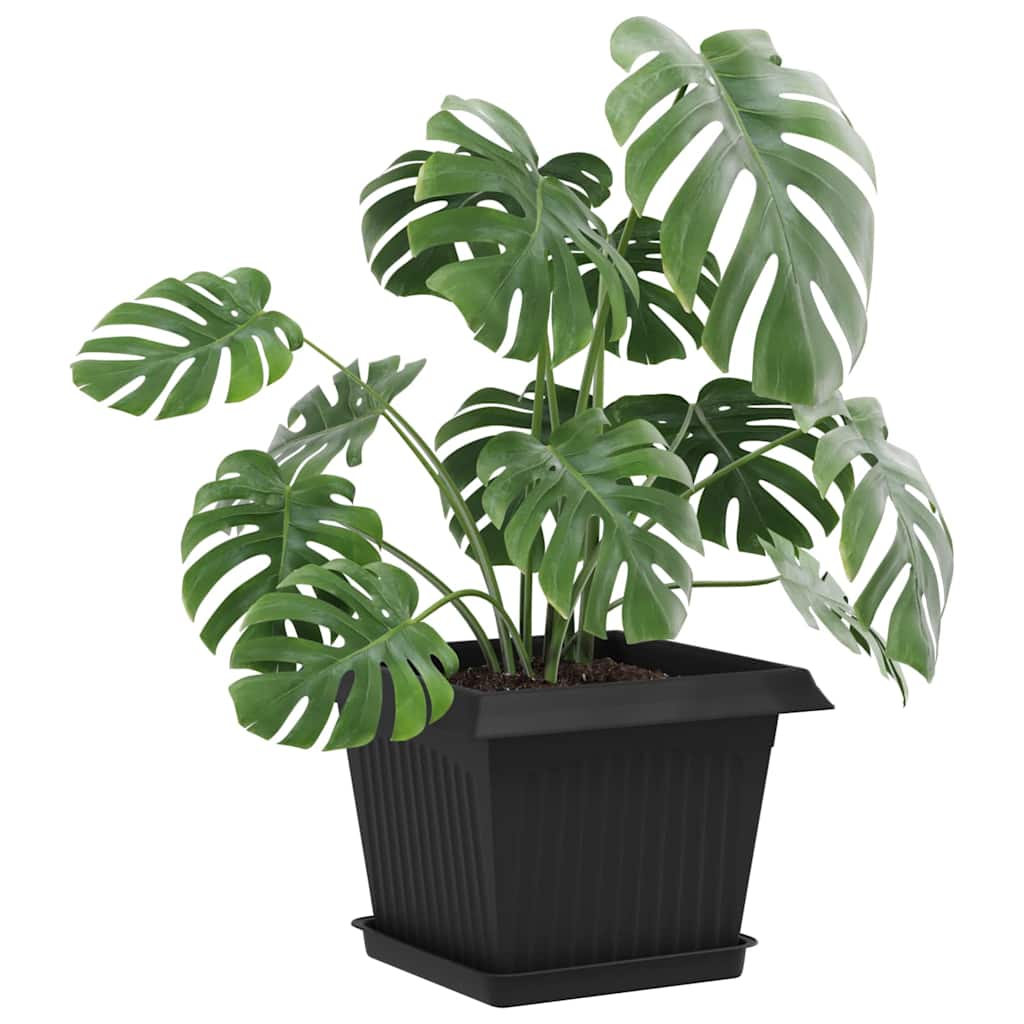 Vierkante Bloemenschotel 6 pcs Zwart 18 x 18 x 2 cm Kunststof image 3