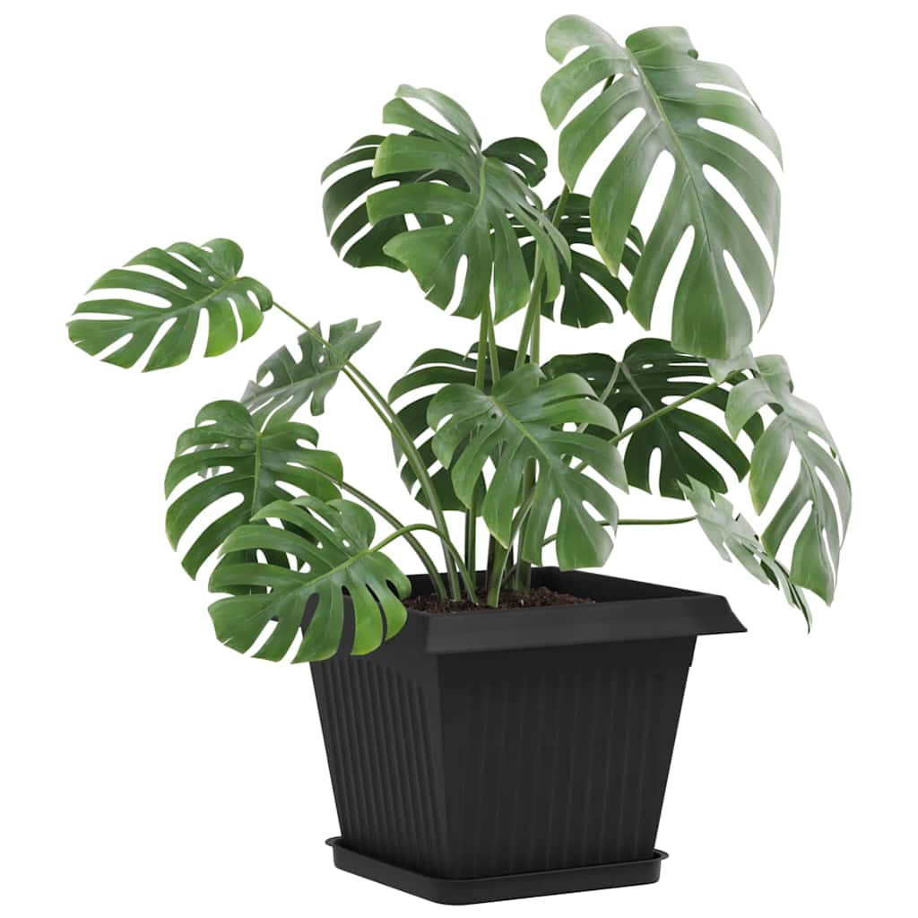 Vierkante Bloemenschotel 6 pcs Zwart 21 x 21 x 2 cm Kunststof image 3