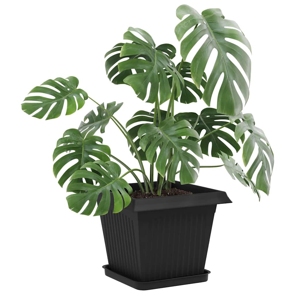 Vierkante Bloemenschotel 6 pcs Zwart 25,5 x 25,5 x 2,5 cm image 3