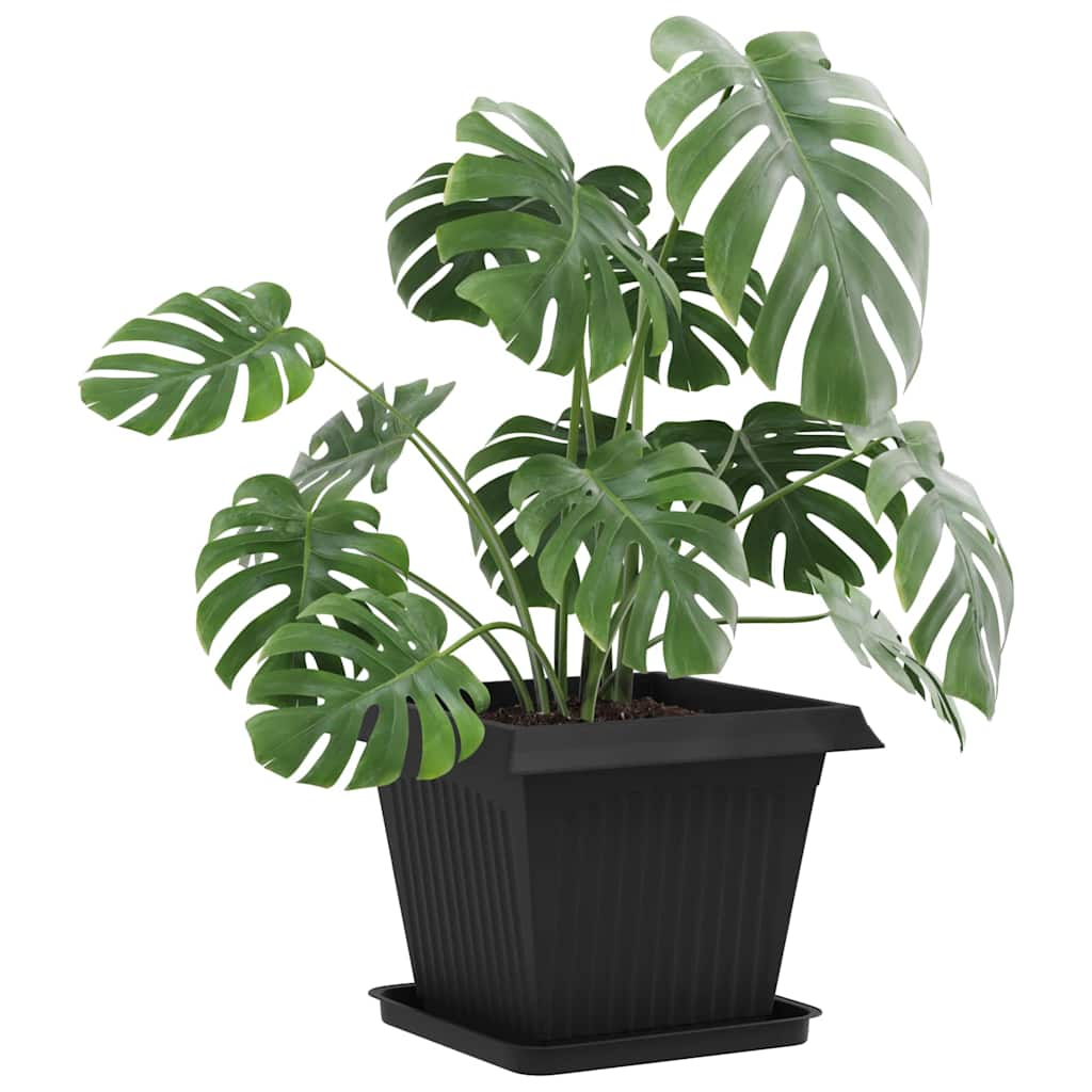 Vierkante Bloemenschotel 6 pcs Zwart 36 x 36 x 2.5 cm Kunststof image 3