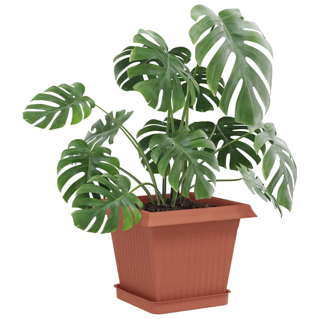 Vierkante Bloemenschotel 24 pcs Baksteenrood 15 x 15 x 2 cm image 3