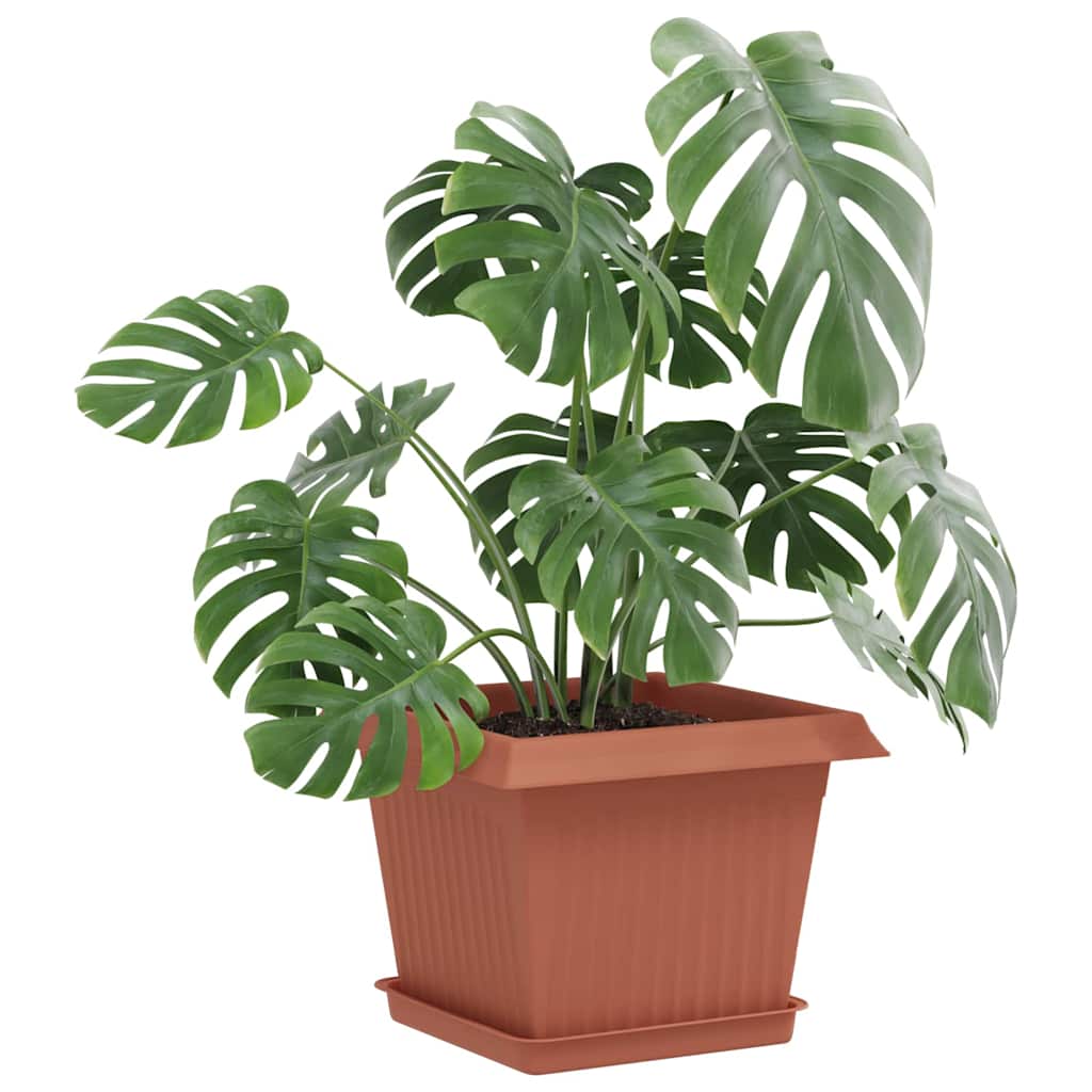 Vierkante Bloemenschotel 24 pcs Baksteenrood 18 x 18 x 2 cm image 3