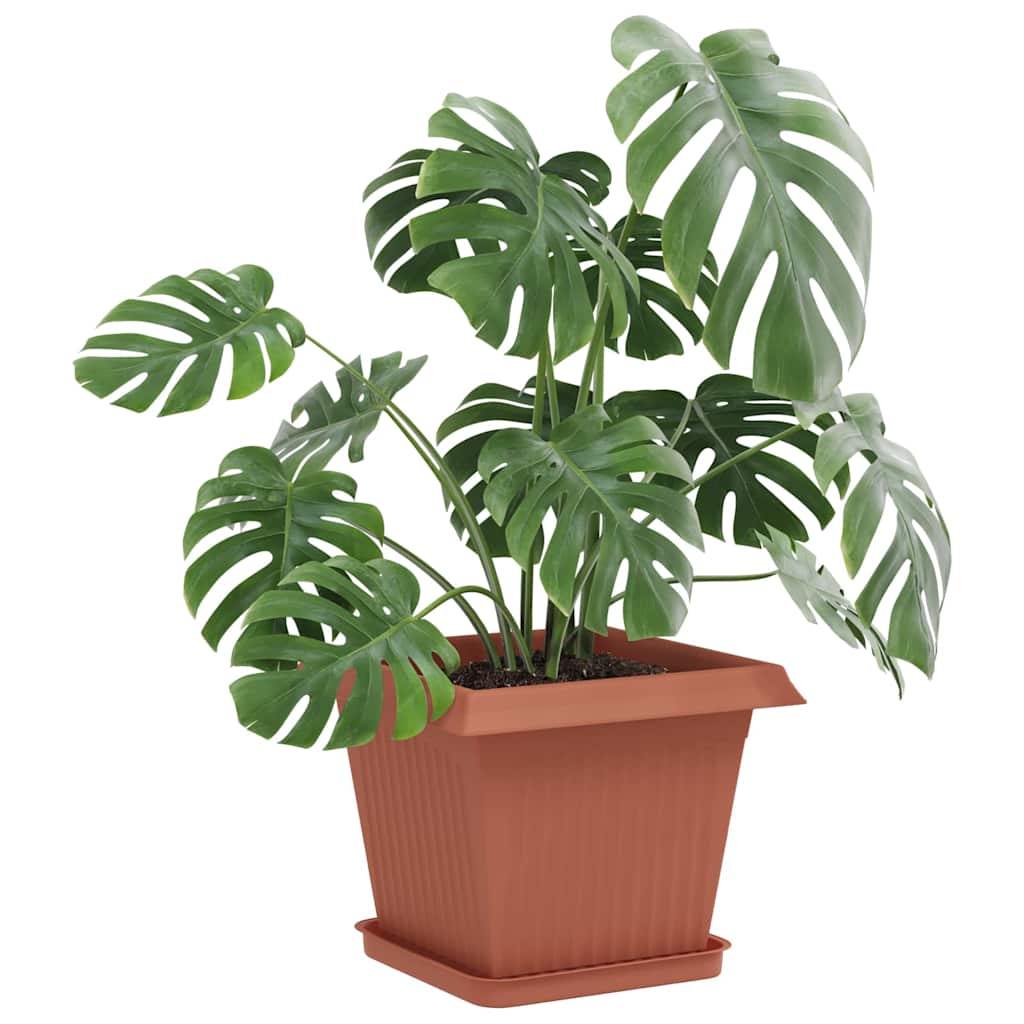 Vierkante Bloemenschotel 24 pcs Baksteenrood Kunststof image 3