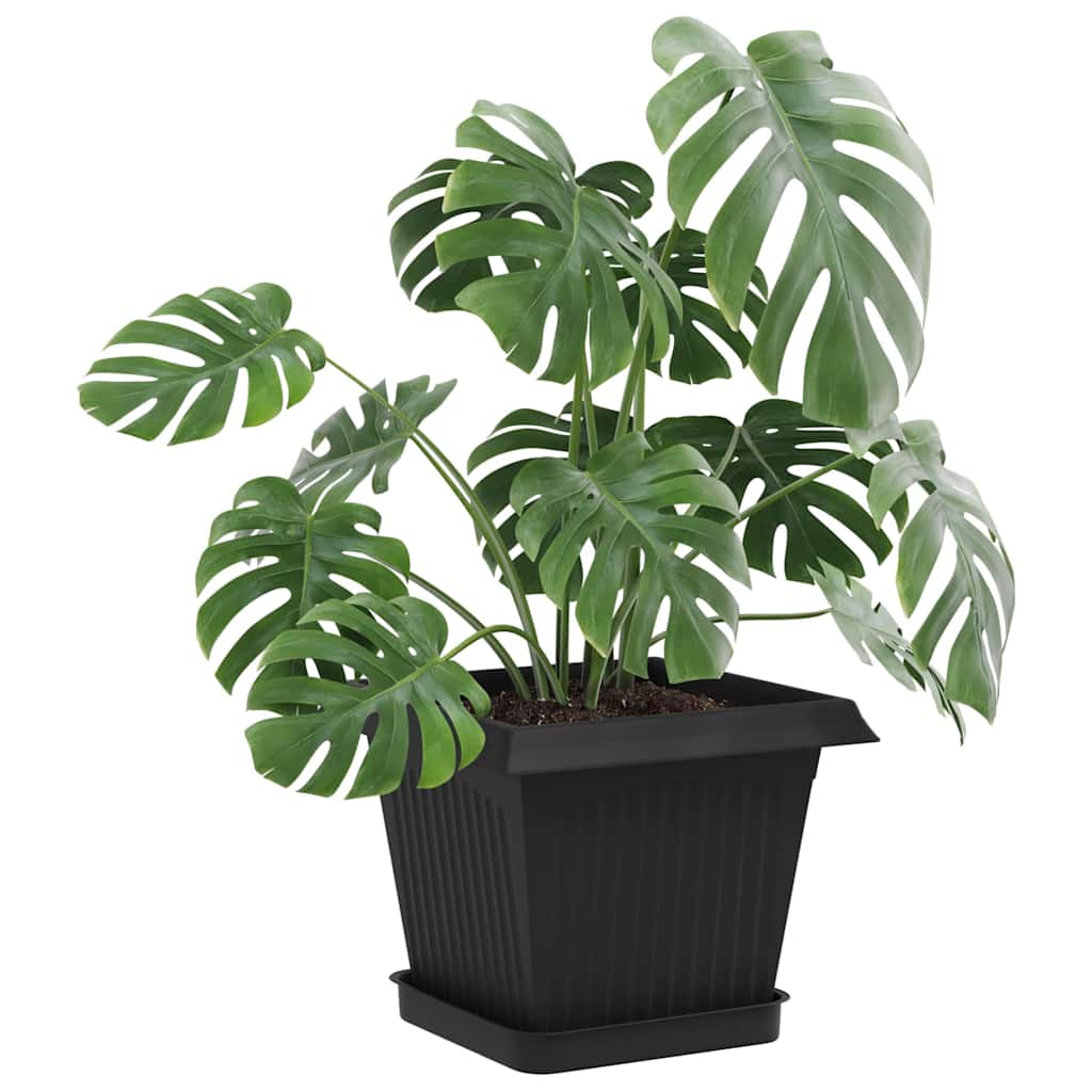 Vierkante Bloemenschotel 24 pcs Zwart 15 x 15 x 2 cm Kunststof image 3