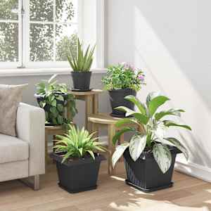 Čtvercový květinový tác 24 pcs Černá 21 x 21 x 2 cm Plast - obrázek 4