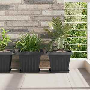 Kvadraten cvetlični pladenj 24 pcs Črna 21 x 21 x 2 cm Plastika