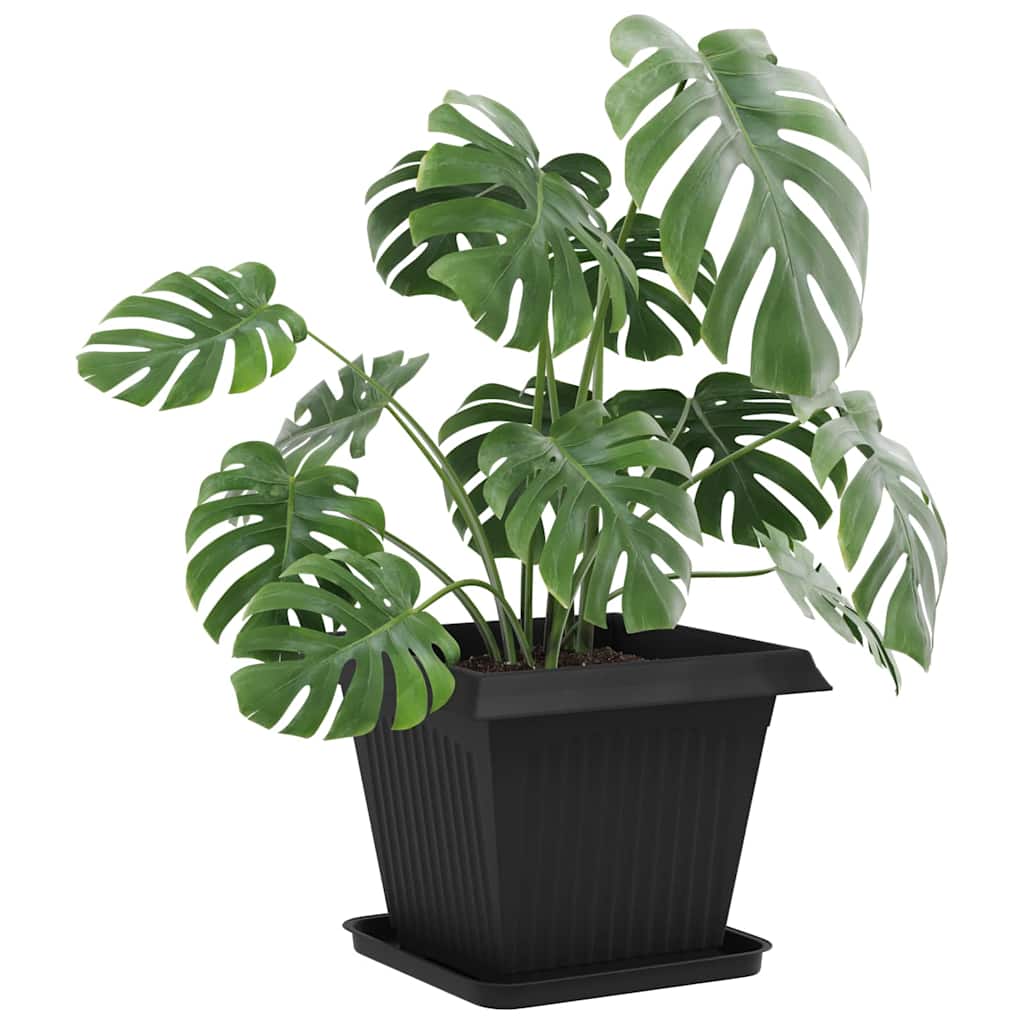 Vierkante Bloemenschotel 24 pcs Zwart 32 x 32 x 2,5 cm image 3