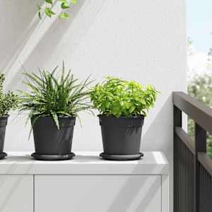 Květináče 6 pcs Černá Ø 17 x 14 cm Plast - obrázek 1