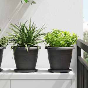 Lončki za rastline 6 pcs Črna Ø 26 x 21.5 cm Plastika