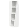 High_gloss_white