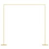 vidaXL Pulma kaar Kuldne 338 x 35 x 300 cm Teras