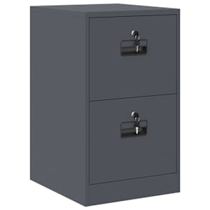 vidaXL Failikapp Antratsiit 44 x 50 x 74,5 cm K&uuml;lmvalsitud teras