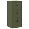 Olive_green