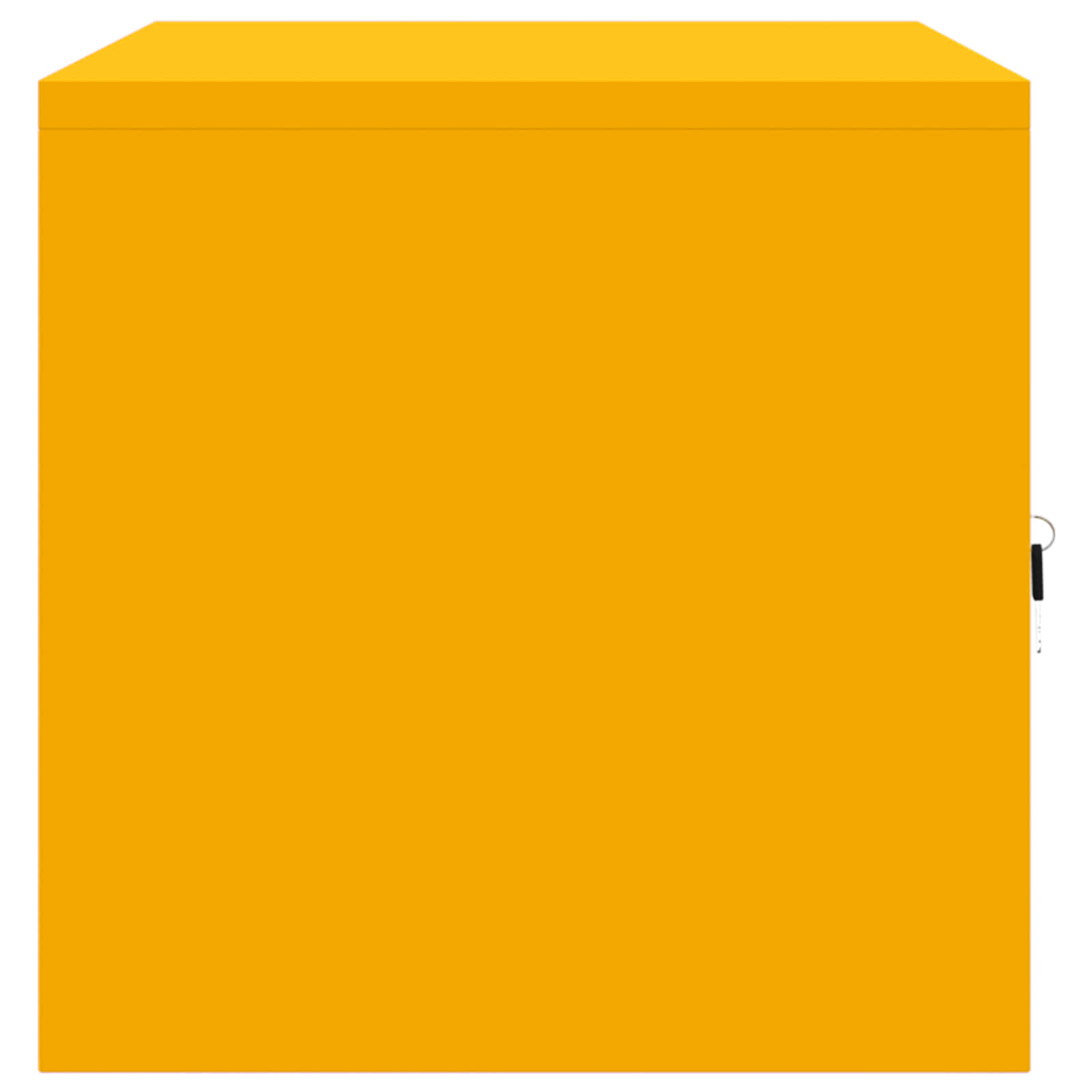 Säilytyskaappi Sinappikeltainen 80 x 40 x 40 cm Teräs - Image 7