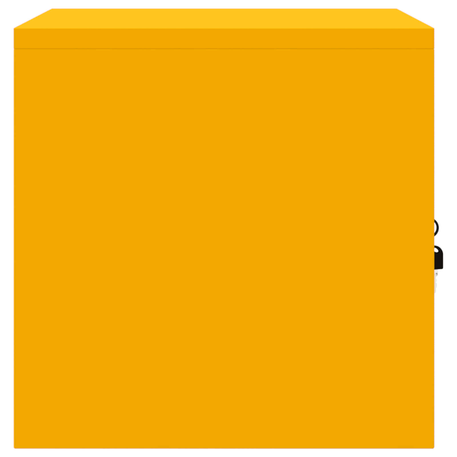 Säilytyskaappi Sinappikeltainen 60 x 40 x 40 cm Teräs - Image 7