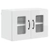 High_gloss_white