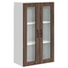 vidaXL Seinaklaasikapp PORTO Pruun tamme 60 x 31 x 100 cm Tehispuit