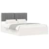 White_and_light_grey