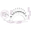 Toote pisipilt  12 / 12