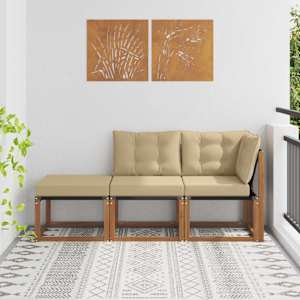 Zunanji modularni kavč z blazino 3 Kos Naravna in bež