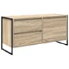 vidaXL Telerikapp 100 x 36 x 49.5 cm Sonoma Tehispuit