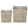 vidaXL Potitaimede korv GENDT 2 tk Looduslik hall Kubu rattan