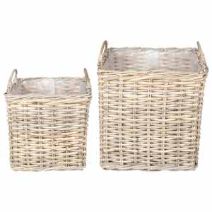 vidaXL Potitaimede korv GENDT 2 tk Looduslik hall Kubu rattan