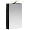 vidaXL Vannitoa peeglikapp Must tamm 30 x 10,5 x 50 cm Tehispuit