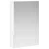 vidaXL Vannitoa peeglikapp Valge 40 x 10,5 x 60,5 cm Tehispuit