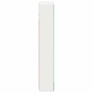 Koupelnová zrcadlová skříň s policí Bílá 40 x 10,5 x 60,5 cm - obrázek 7